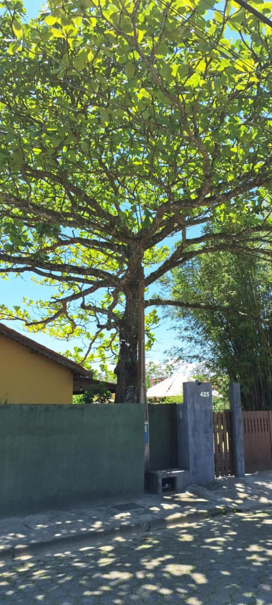 Pousada Chapéu de Sol, 400 metros da Praia, no centro, com estacionamento Ilha Comprida Esterno foto